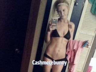 Cashmerebunny