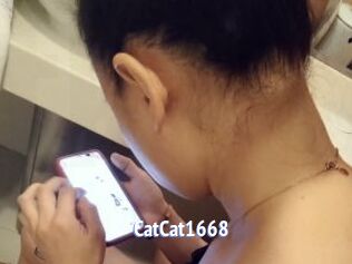 CatCat1668