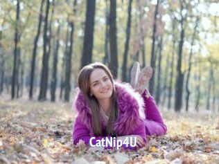CatNip4U