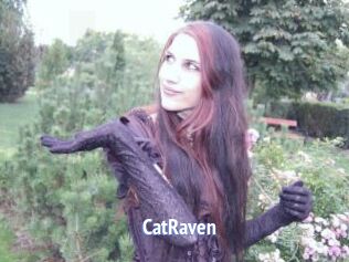 CatRaven