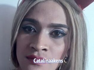 Catalinaakens