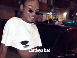 Cattleya_bad