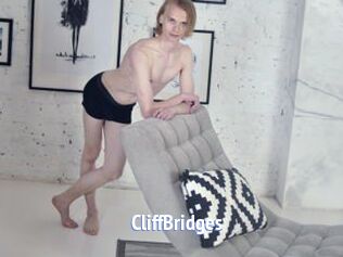 CliffBridges
