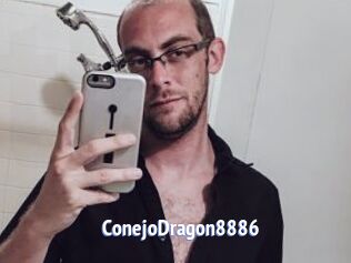 ConejoDragon8886