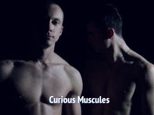 Curious_Muscules