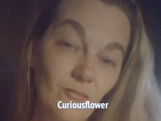 Curiousflower