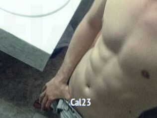 Cal23