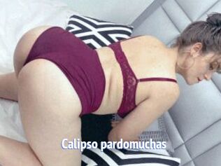 Calipso_pardomuchas