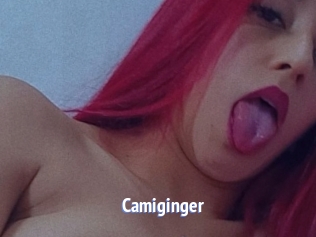 camiginger Telefon Kontakte