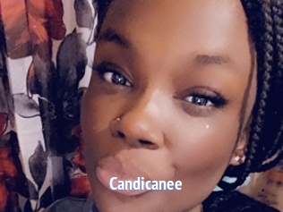 Candicanee
