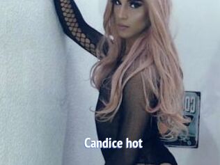 Candice_hot