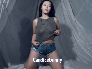 Candicebunny
