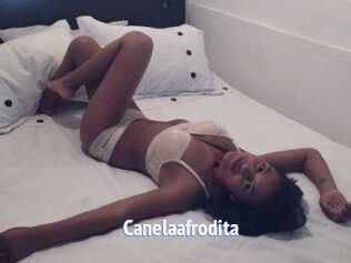Canelaafrodita