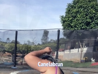 Canelabrun
