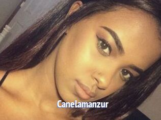 Canelamanzur