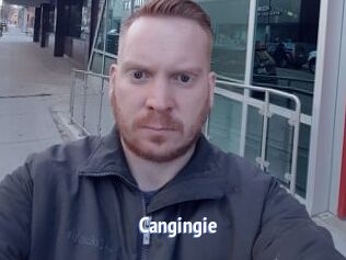 Cangingie