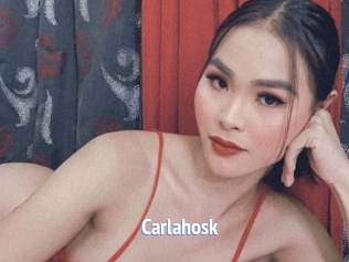 carlahosk Telefon Kontakte