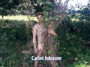 Carlot_hdozom