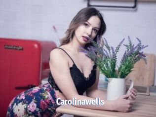 Carolinawells