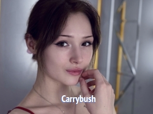 Carrybush