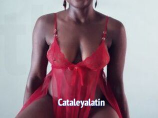 Cataleyalatin