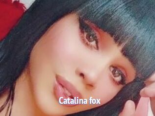 Catalina_fox