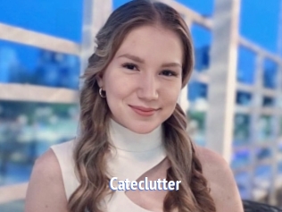 Cateclutter