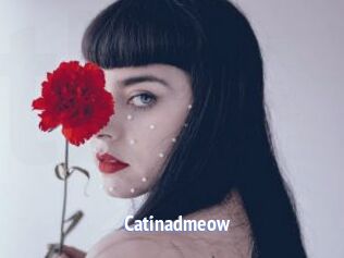 Catinadmeow