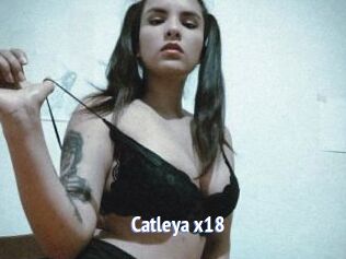 Catleya_x18