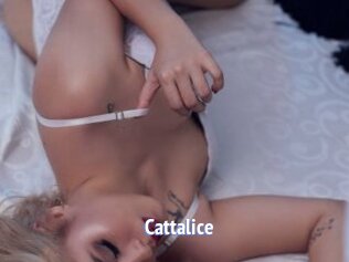 Cattalice