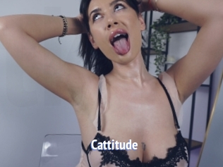 Cattitude