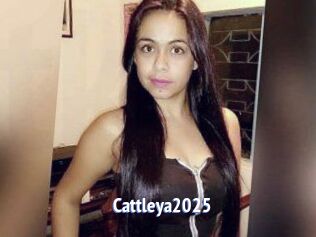 Cattleya2025