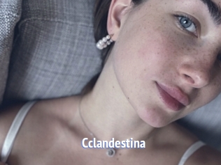 Cclandestina