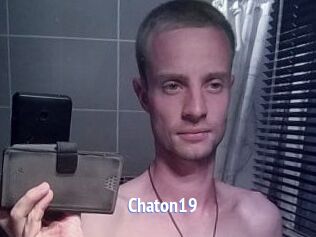 Chaton19