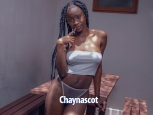 Chaynascot