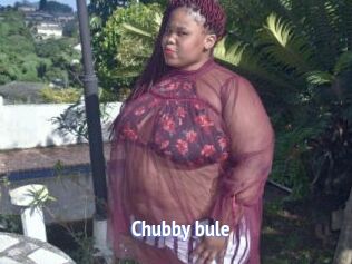 Chubby_bule