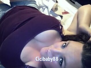Cicibaby88