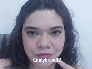 Cindybrandt2