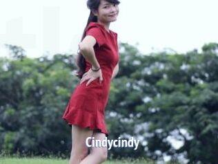 Cindycindy