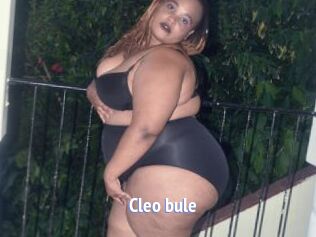 Cleo_bule