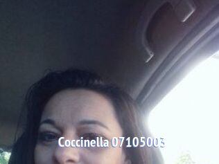 Coccinella-07105003