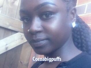 Cocoabigpuffs