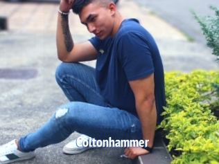 Coltonhammer