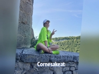 Cornesakeat