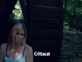 Crittacat