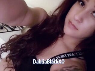 DahliaBlackXO