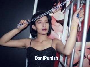 DaniPunish