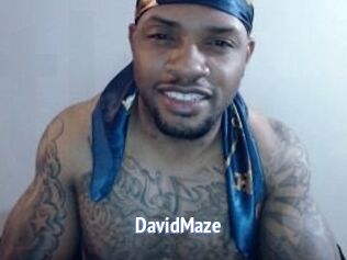 David_Maze
