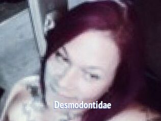 Desmodontidae