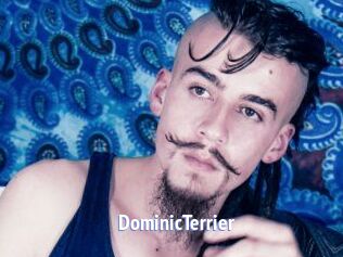 DominicTerrier